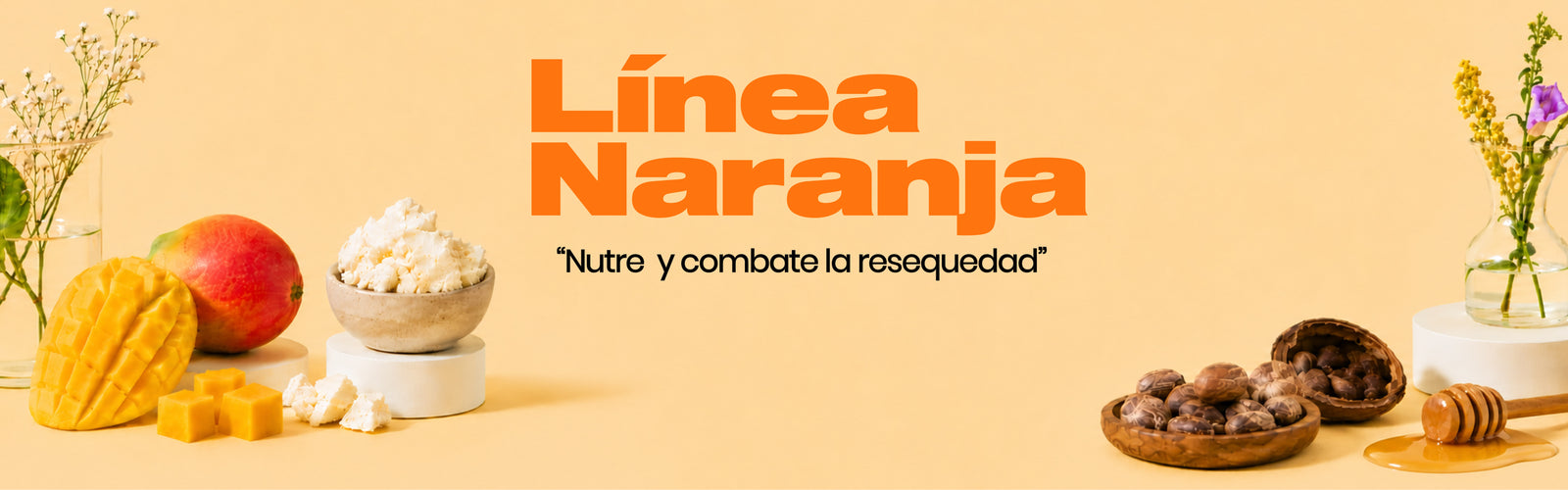 Banner Colección Naranja