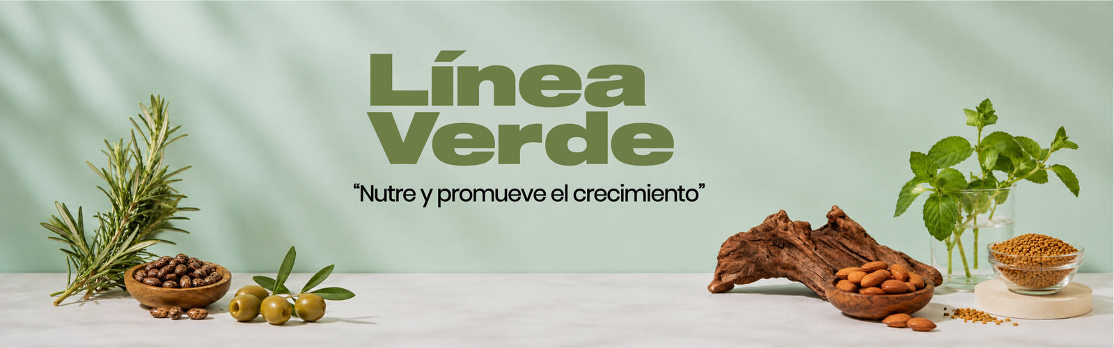 Banner Colección Verde